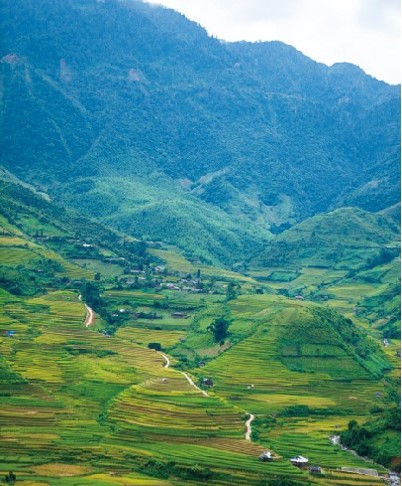 泰山1.jpg
